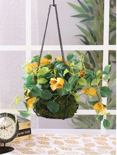 hanging flower pots