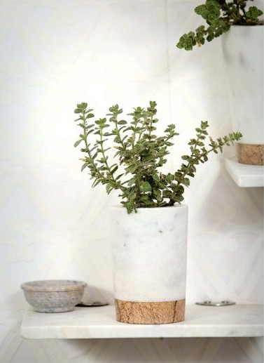 outdoor plant pots