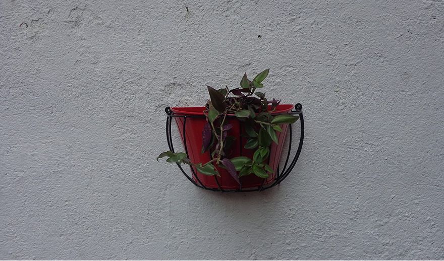 wall pots