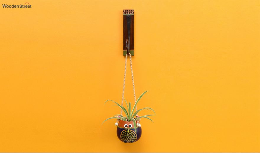 Hanging Planter